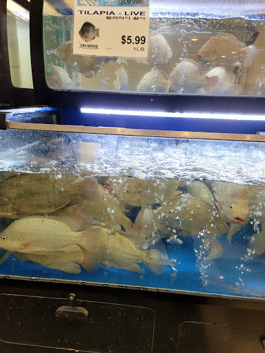 Korean Grocery Store «Lotte Plaza Market - Centreville», reviews and photos, 5900 Centreville Crest Ln, Centreville, VA 20121, USA