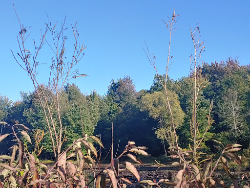 Nature Preserve «Reinstein Woods Nature Preserve», reviews and photos, 93 Honorine Dr, Depew, NY 14043, USA