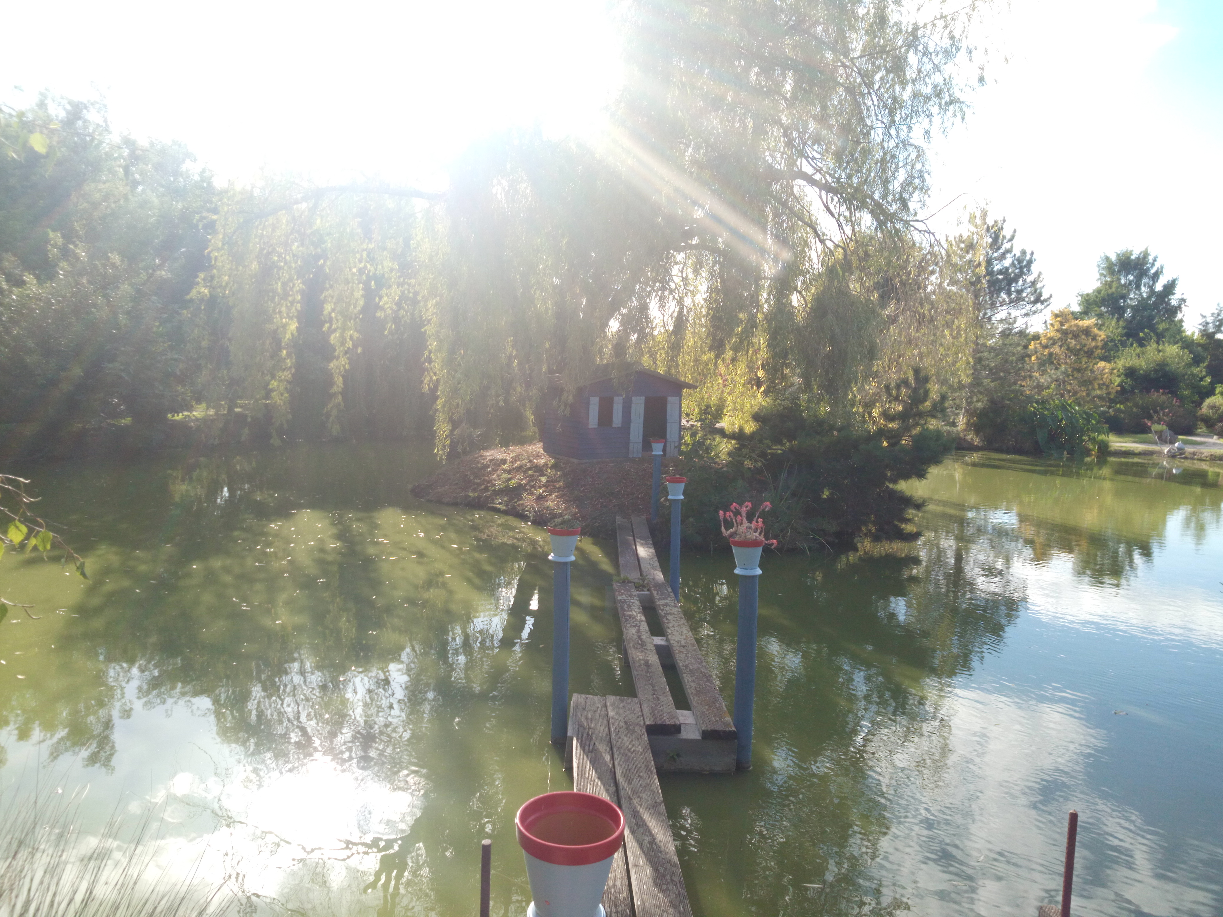Photo n° 2 de l'avis de Cathy.a fait le 23/08/2020 à 16:53