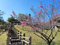 八重島公園