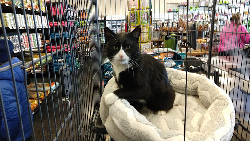 Pet Supply Store «Chuck & Don’s Pet Food & Supplies», reviews and photos, 8115 Wedgewood Ln N #1, Maple Grove, MN 55369, USA