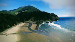 Short Sand Beach'in fotoğrafı vahşi alan