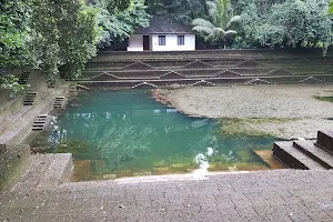 Kottayil Temple Pond image