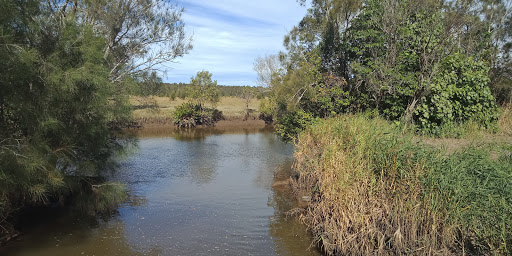 Yandina Creek Wetland
