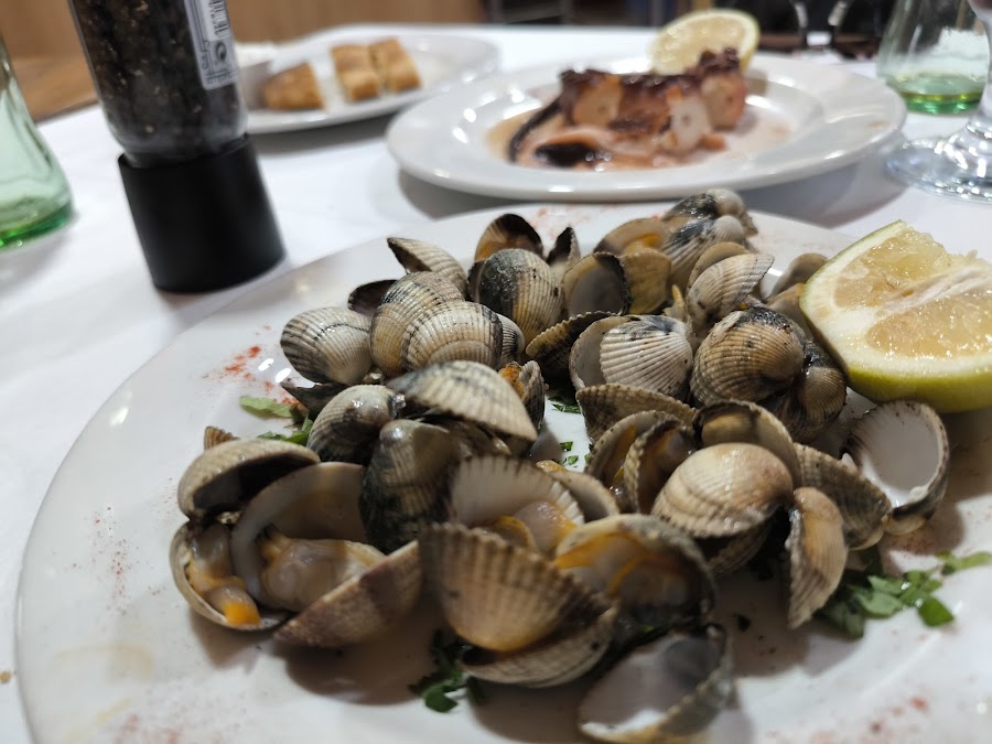 Restaurante Bar del Campo