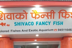 Shivaco Fancy Fish Shop शिवाको फैंसी फिश image