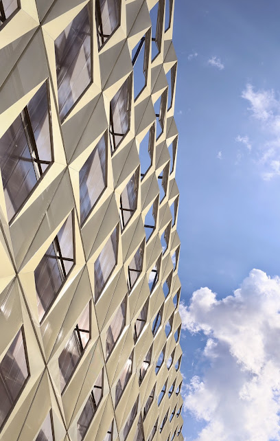 DICO si TIGANAS arhitectura si inginerie