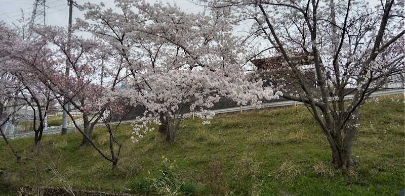 貴望ケ丘公園