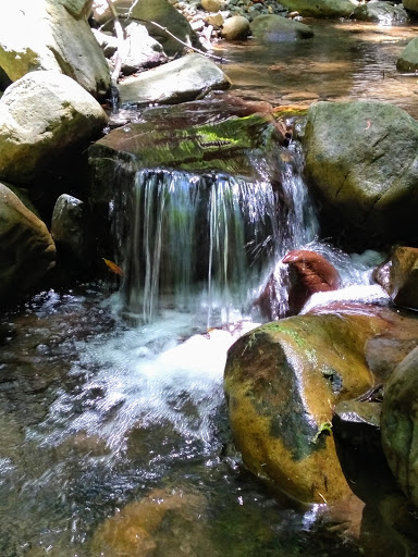 Uvas Canyon County Park image