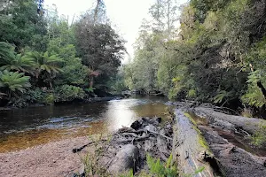 Styx State Forest image