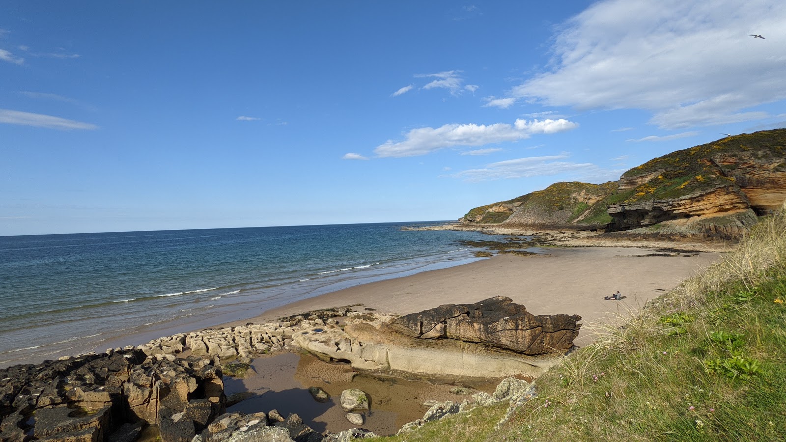 Cove Bay Beach'in fotoğrafı geniş ile birlikte