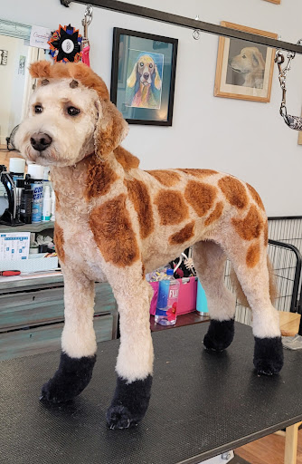 Doggie Styles By Shannon