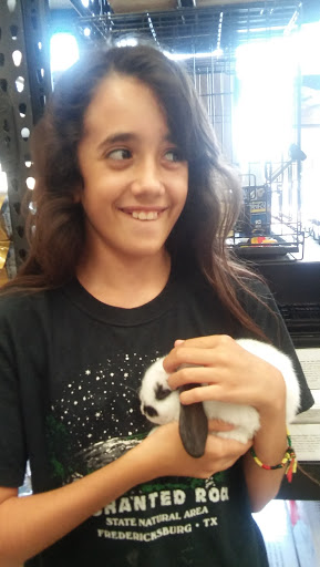 Pet Store «Petland Vineyard - San Antonio», reviews and photos, 1309 North Loop 1604 W #101, San Antonio, TX 78258, USA