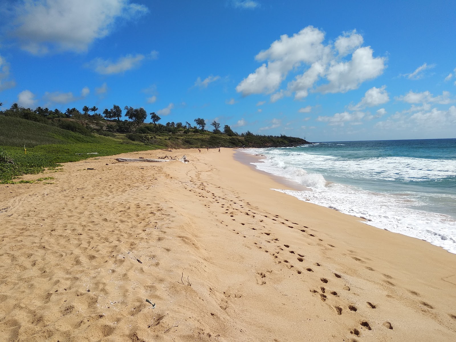 Foto di Paliku Beach con una superficie del sabbia luminosa