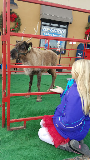 Shopping Mall «Valley Creek Mall», reviews and photos, 1750 Weir Dr, St Paul, MN 55125, USA