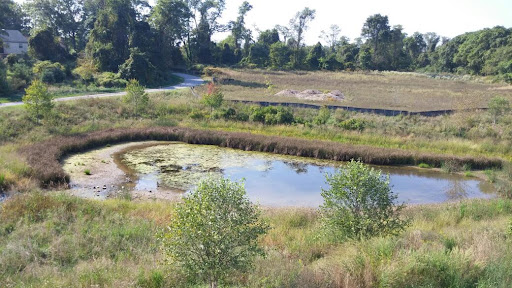 Park «Blandair Regional Park», reviews and photos, 5750 Oakland Mills Rd, Columbia, MD 21045, USA