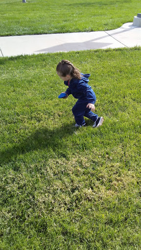 Memorial Park «Firefighters Memorial Park», reviews and photos, 6401 W Oakey Blvd, Las Vegas, NV 89146, USA