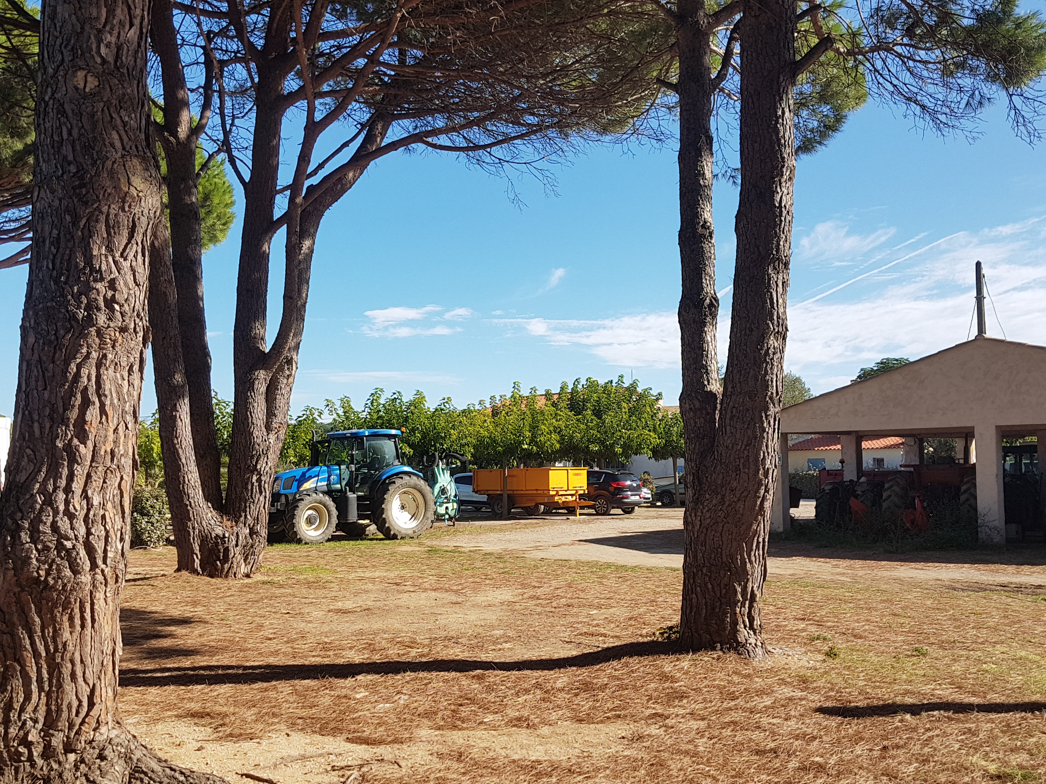 Photo n° 1 de l'avis de Elio. fait le 03/10/2019 à 16:47