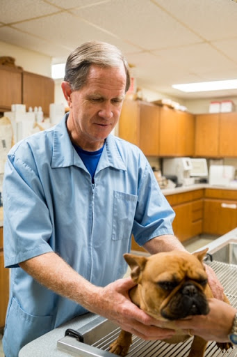 Harvard Veterinary Clinic image