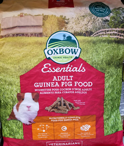 Tropical Fish Store «Pet Friendly Inc», reviews and photos, 845 Manitou Rd, Hilton, NY 14468, USA