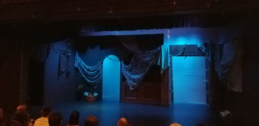 Performing Arts Theater «Steel Beam Theatre», reviews and photos, 111 W Main St, St Charles, IL 60174, USA