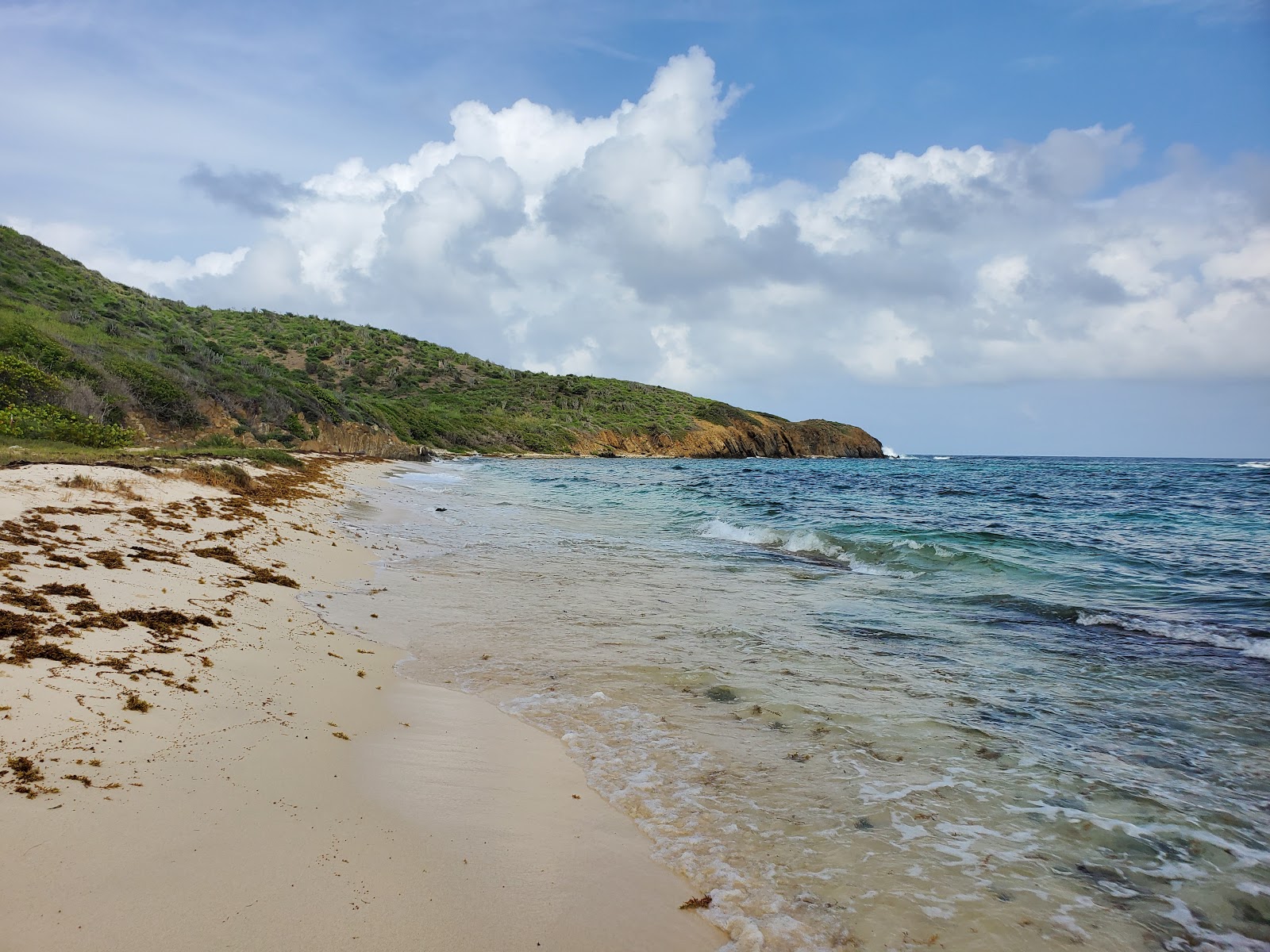 Foto di Isaacs Bay beach zona selvaggia