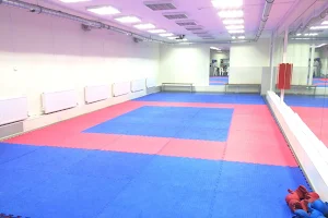 Karate Club for children and adults image
