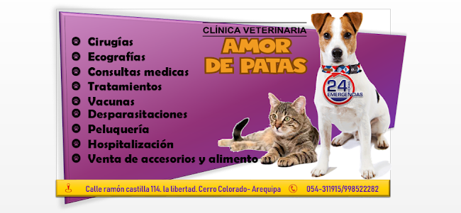 Opiniones de Clinica Veterinaria Amor de Patas en Cerro Colorado - Veterinario