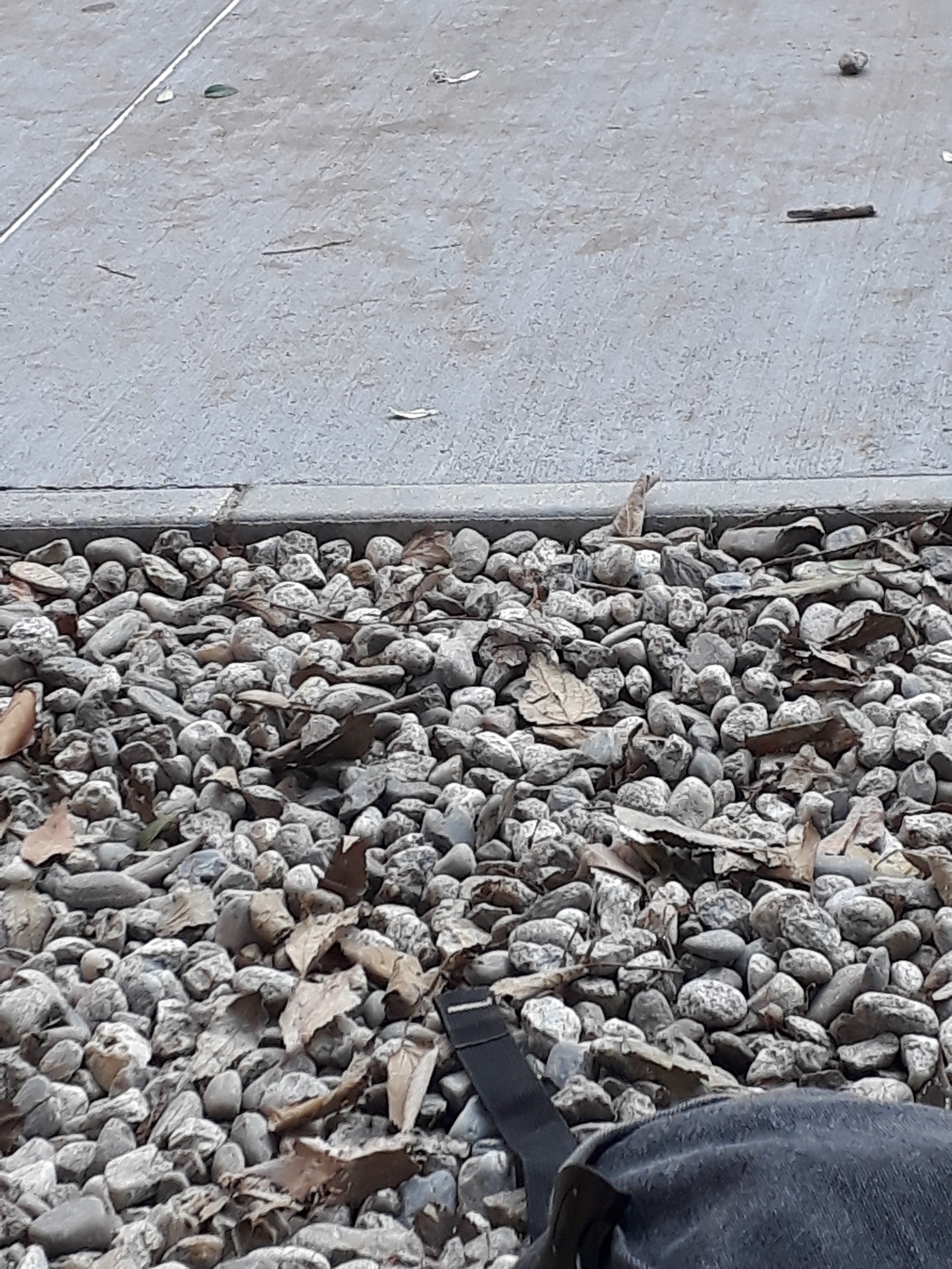 Photo n° 27 de l'avis de William.m fait le 11/12/2018 à 12:09