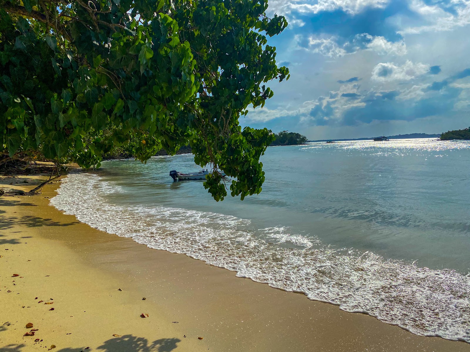 Foto de Half Moon Beach com água cristalina superfície