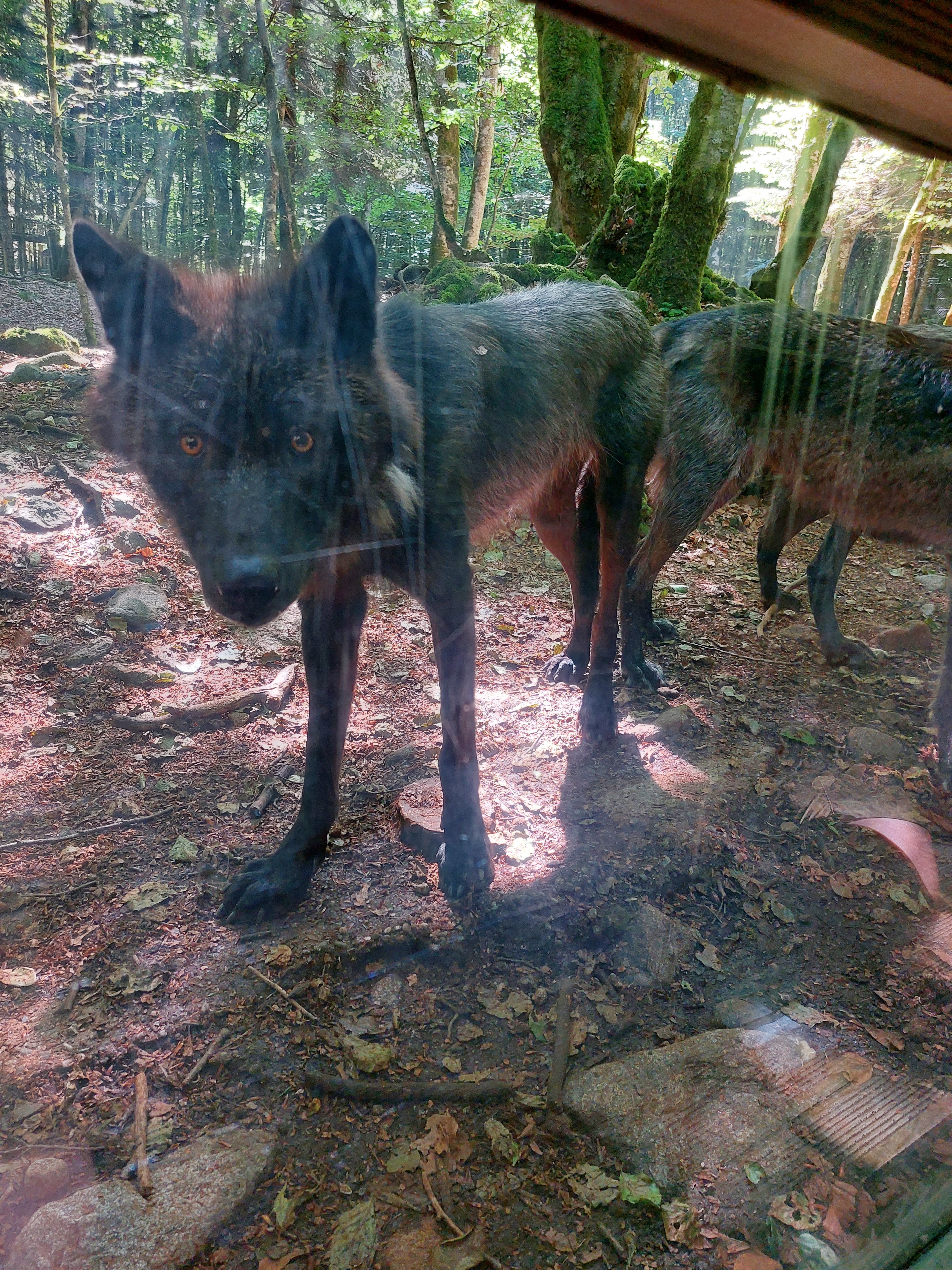 Photo n° 2 de l'avis de Fred. fait le 25/06/2023 à 20:35