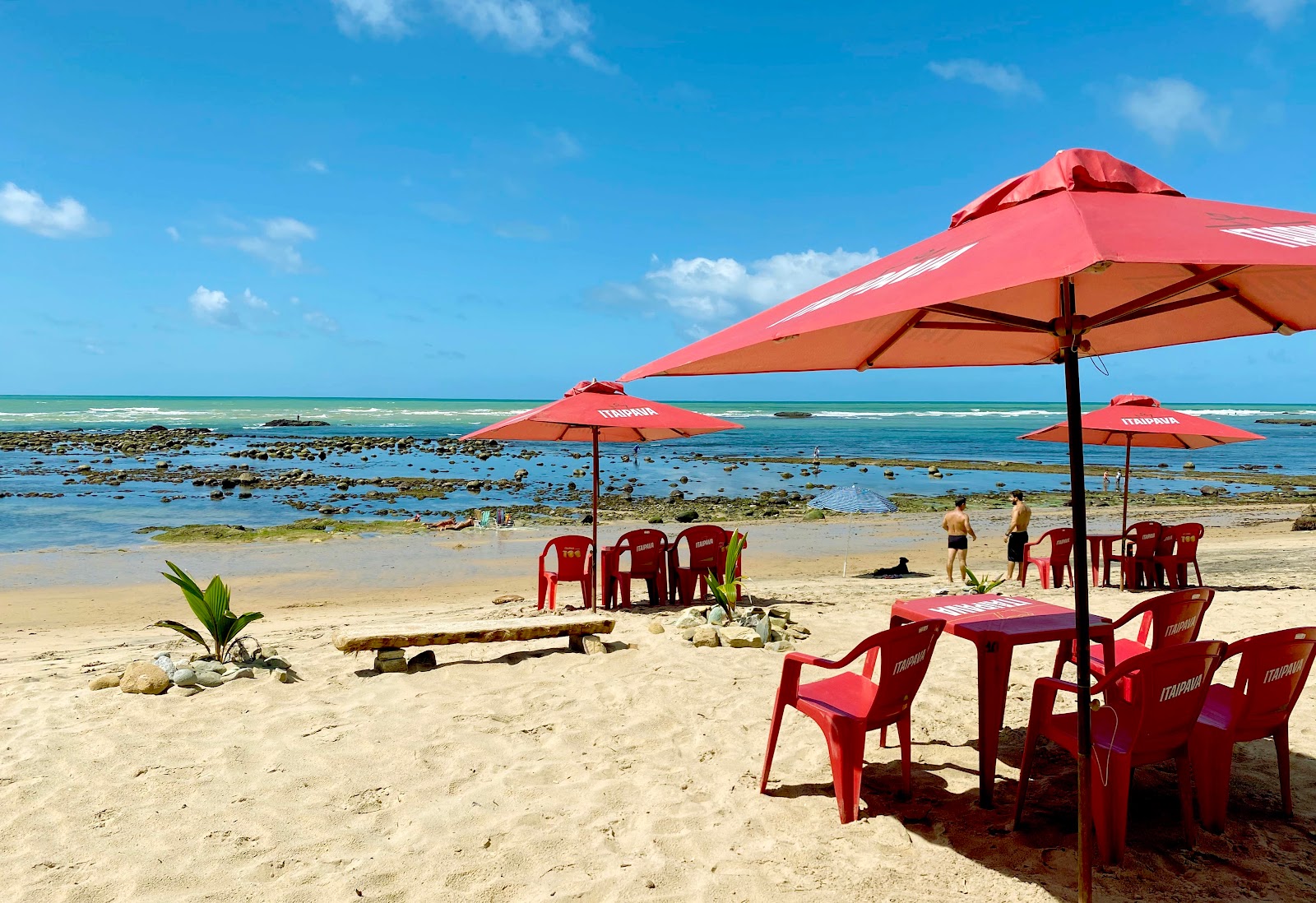 Foto de Praia de Riacho Doce e o assentamento