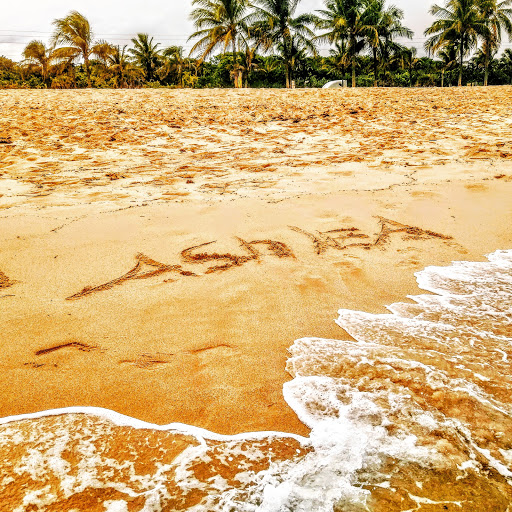 State Park «Hugh Taylor Birch State Park», reviews and photos, 3109 E Sunrise Blvd, Fort Lauderdale, FL 33304, USA