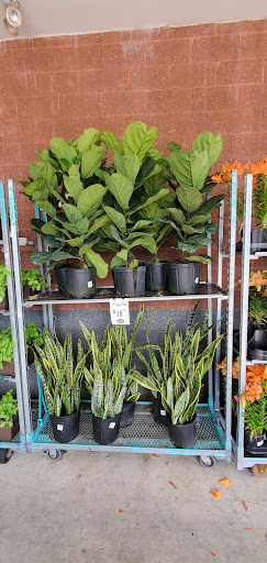 Warehouse club «BJ’s Wholesale Club», reviews and photos, 900 Marketplace Blvd, Hamilton Township, NJ 08691, USA