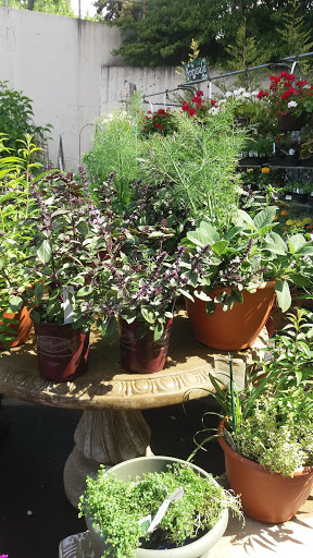 Hardware Store «South Salem Ace Hardware», reviews and photos, 706 Madrona Ave SE, Salem, OR 97302, USA