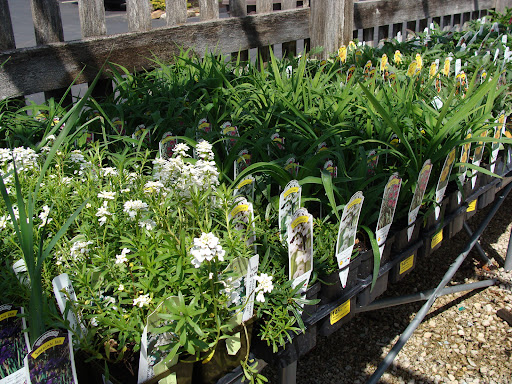 Garden Center «Hillermann Nursery & Florist», reviews and photos, 2601 E Fifth St, Washington, MO 63090, USA