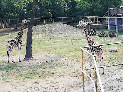 Állatpark (ZOO)