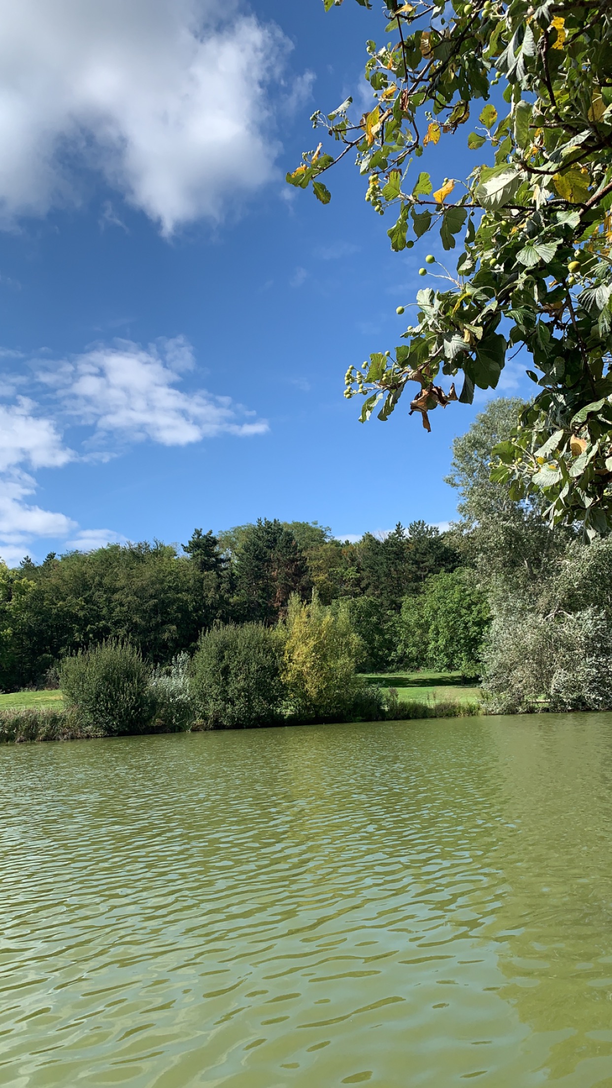 Photo n° 1 de l'avis de Yanis.O fait le 27/08/2023 à 14:26