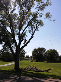 Tip Top Crane and Tree Service - Photo 5 - Car repair in Norman, OK, Norman