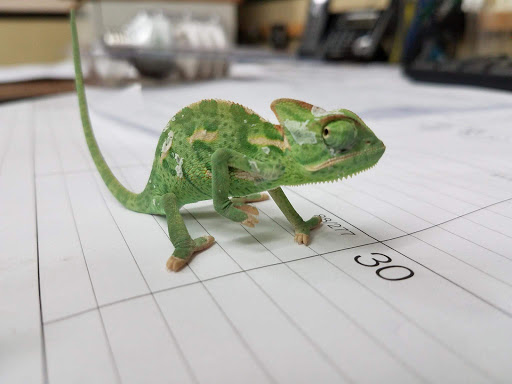 Pet Groomer «Pet World», reviews and photos, 4033 W Mercury Blvd, Hampton, VA 23666, USA