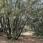 Photo n° 1 de l'avis de jerome.l fait le 13/06/2022 à 17:31 pour Parking des charbonnières à Baudinard-sur-Verdon