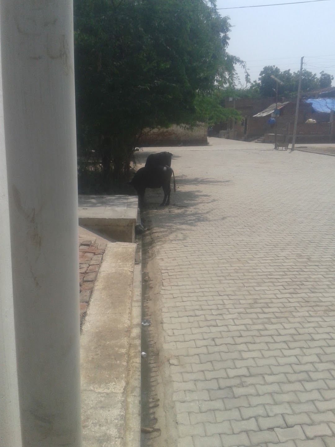 करबला मुस्लिम समुदाय
