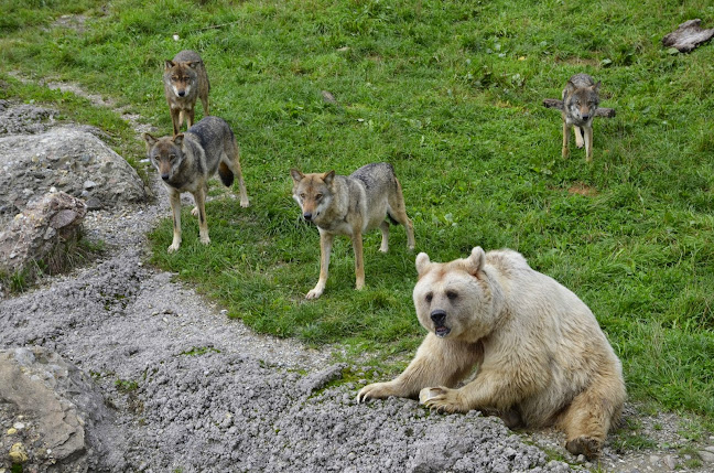 Natur- und Tierpark Goldau