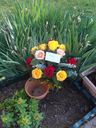 Florist «HOUSE OF BUTTERFLIES FLORIST», reviews and photos, 1303 W Buckingham Rd #109, Garland, TX 75040, USA