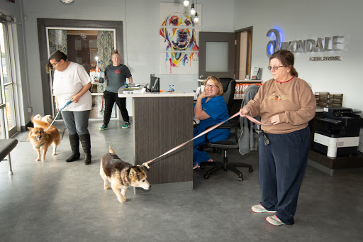 Avondale Animal Hospital