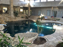 AB&C Pool Service - Photo 3 - Car repair in Mansfield, TX, Fort Worth
