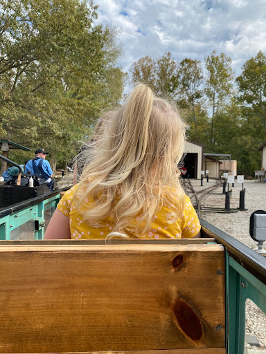 Tourist Attraction «Wabash Frisco & Pacific Railway», reviews and photos, 101 Grand Ave, Glencoe, MO 63038, USA