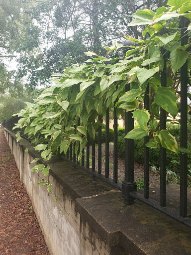 Historical Landmark «Robert Mills House and Gardens», reviews and photos, 1616 Blanding St, Columbia, SC 29201, USA