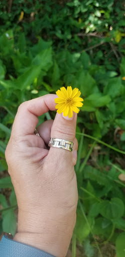 Recreation Center «Jackson Springs Recreation Center», reviews and photos, 8620 Jackson Springs Rd, Tampa, FL 33615, USA