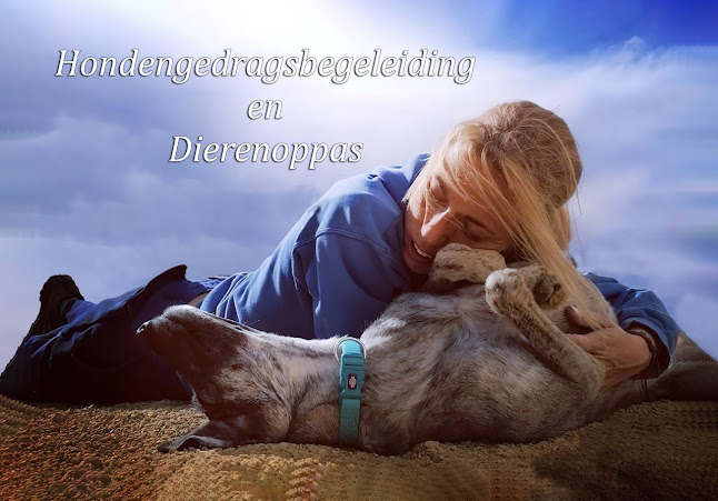 Lesley Wuestenberg Hondencoach en Dierenoppas
